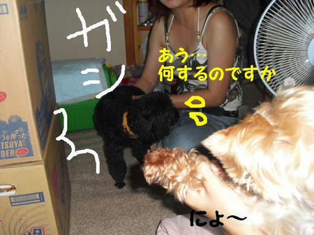 CIMG9627.JPG
