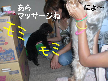 CIMG9626.JPG