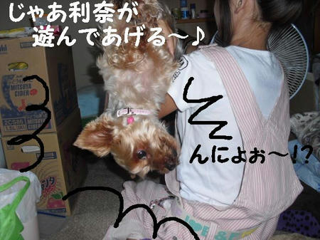 CIMG9628.JPG