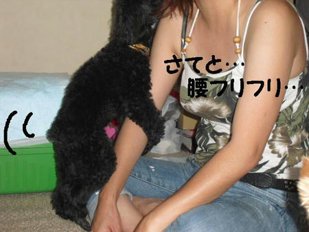 CIMG9641.JPG