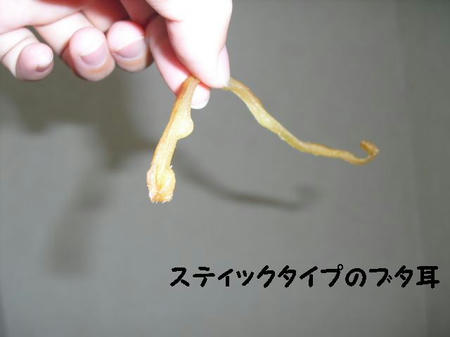 CIMG0152.JPG