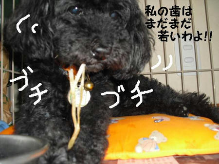CIMG0148.JPG
