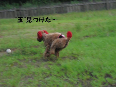 CIMG0011.JPG