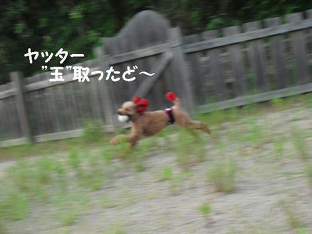 CIMG0014.JPG