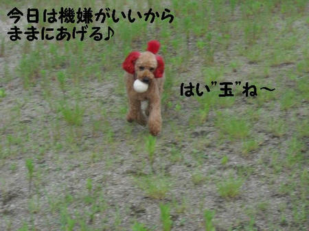 CIMG0009.JPG