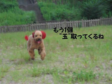 CIMG0015.JPG