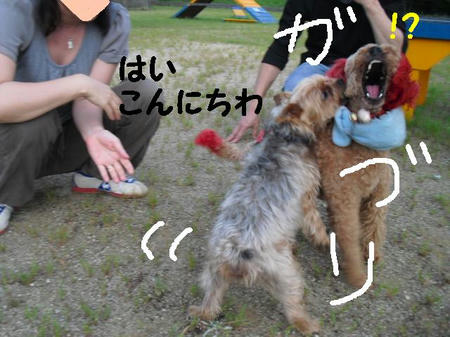 CIMG0261.JPG