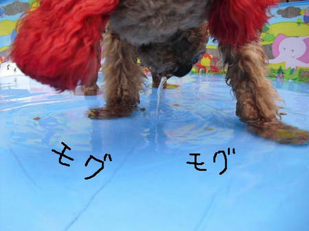 1f2fce7a.JPG