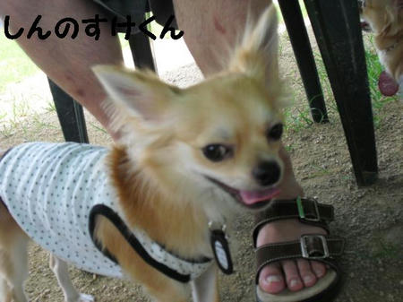CIMG0584.JPG