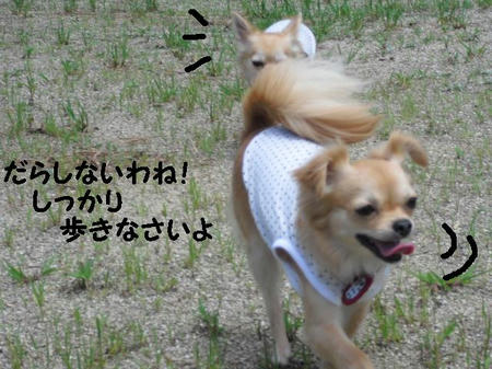 CIMG0579.JPG