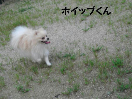e5f989f4.JPG