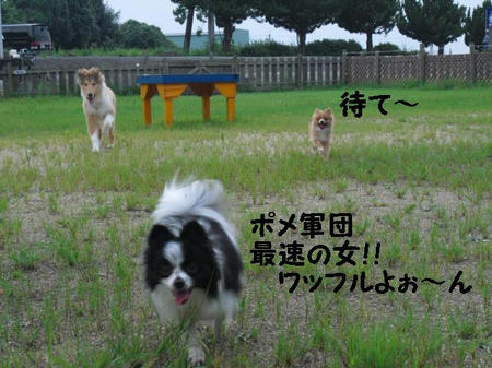 CIMG0692.JPG