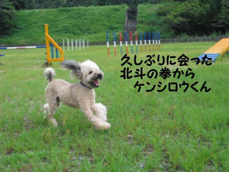 CIMG0731.JPG