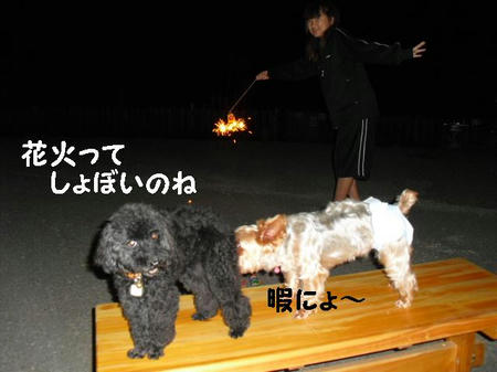 8d503b90.JPG