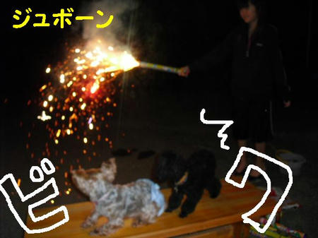 CIMG0638.JPG