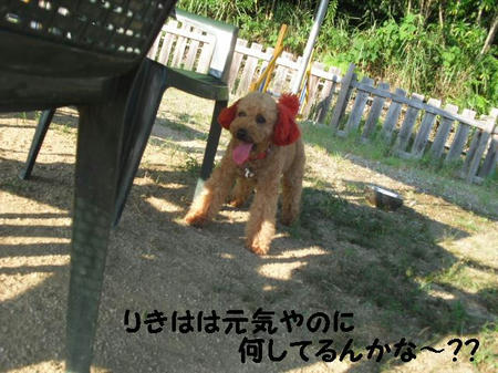 CIMG0905.JPG