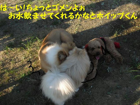 CIMG0912.JPG