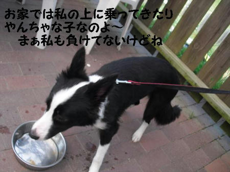 CIMG0963.JPG