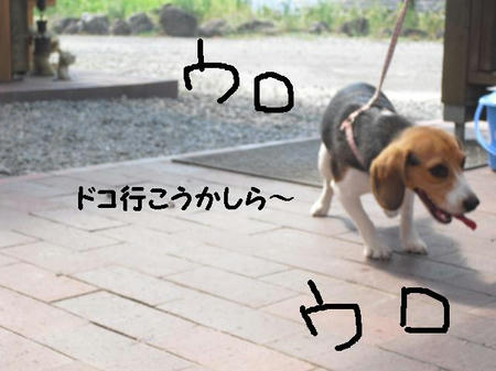 CIMG0969.JPG