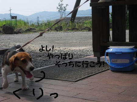 CIMG0970.JPG
