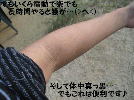 CIMG0976.JPG