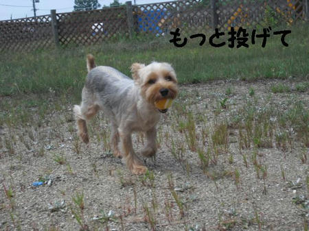 7723b3d5.JPG