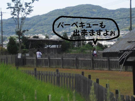 CIMG1155.JPG