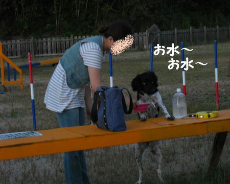 CIMG1276.JPG