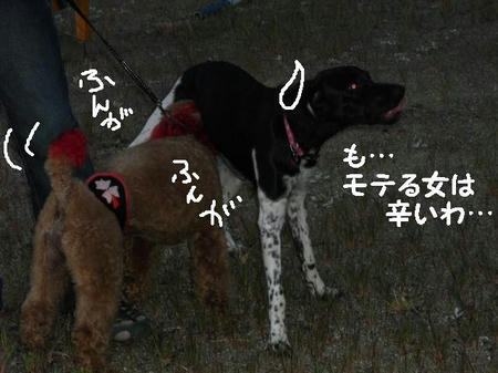 CIMG1283.JPG
