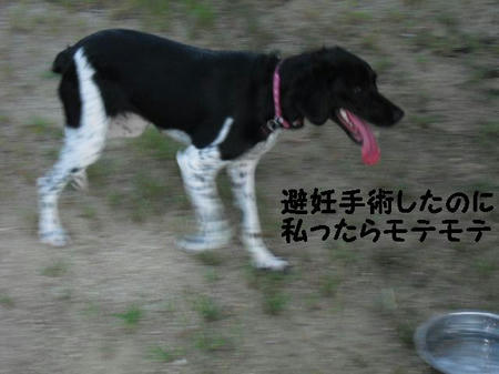 CIMG1273.JPG