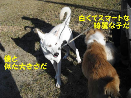 CIMG1347.JPG