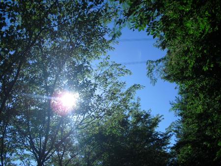 CIMG0158.JPG