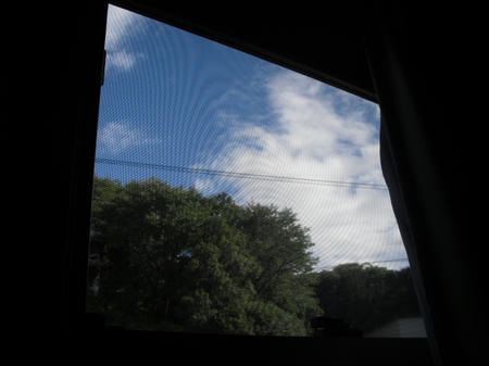 CIMG0154.JPG