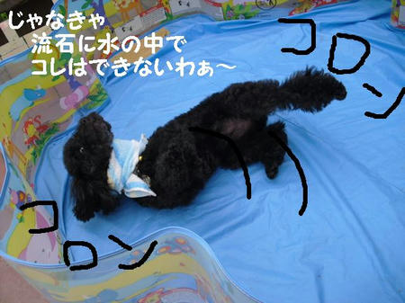 CIMG0202.JPG