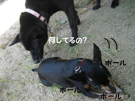 CIMG1715.JPG