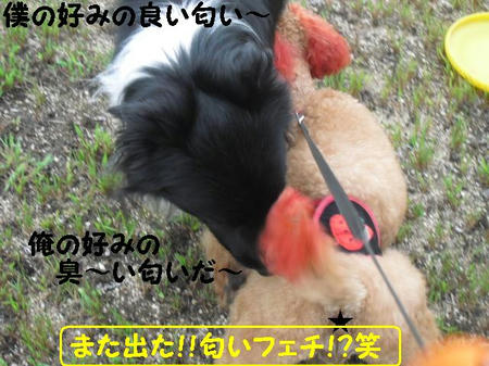 CIMG2348.JPG