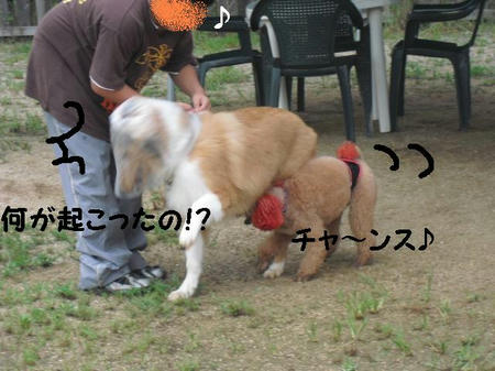 CIMG2639.JPG