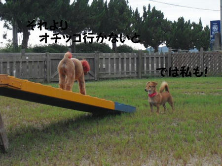 CIMG2693.JPG