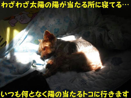 CIMG3179.JPG