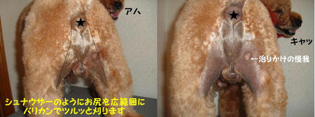 9cd1b8f9.JPG