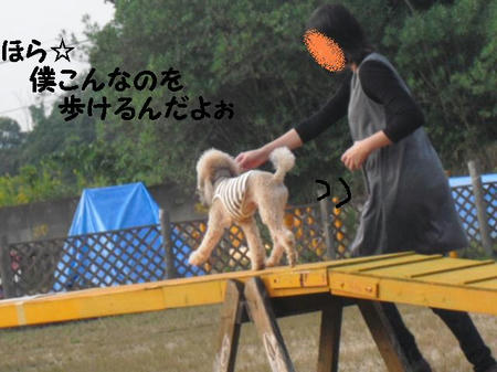 CIMG4212.JPG