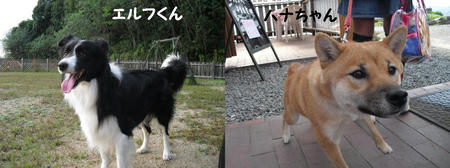 c683214e.JPG