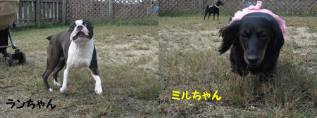 3808a037.JPG