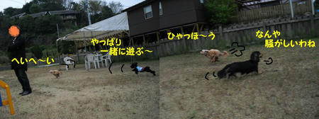 f1d4c50a.JPG