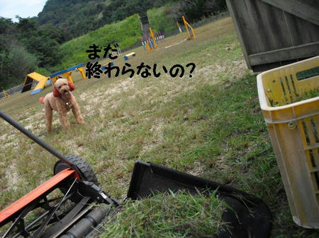 CIMG3615.JPG