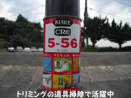 CIMG3619.JPG