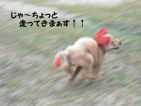 CIMG3629.JPG