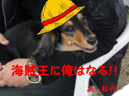 CIMG4780.JPG