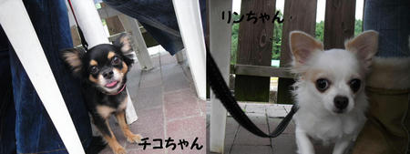 f9ccfe87.JPG
