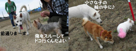 783a9921.JPG